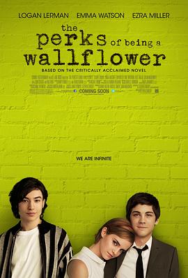 壁花少年ThePerksofBeingaWallflower[电影解说]